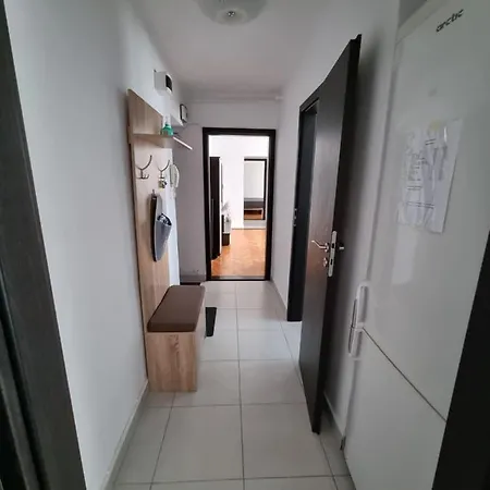 New Apartament Apartment Timisoara